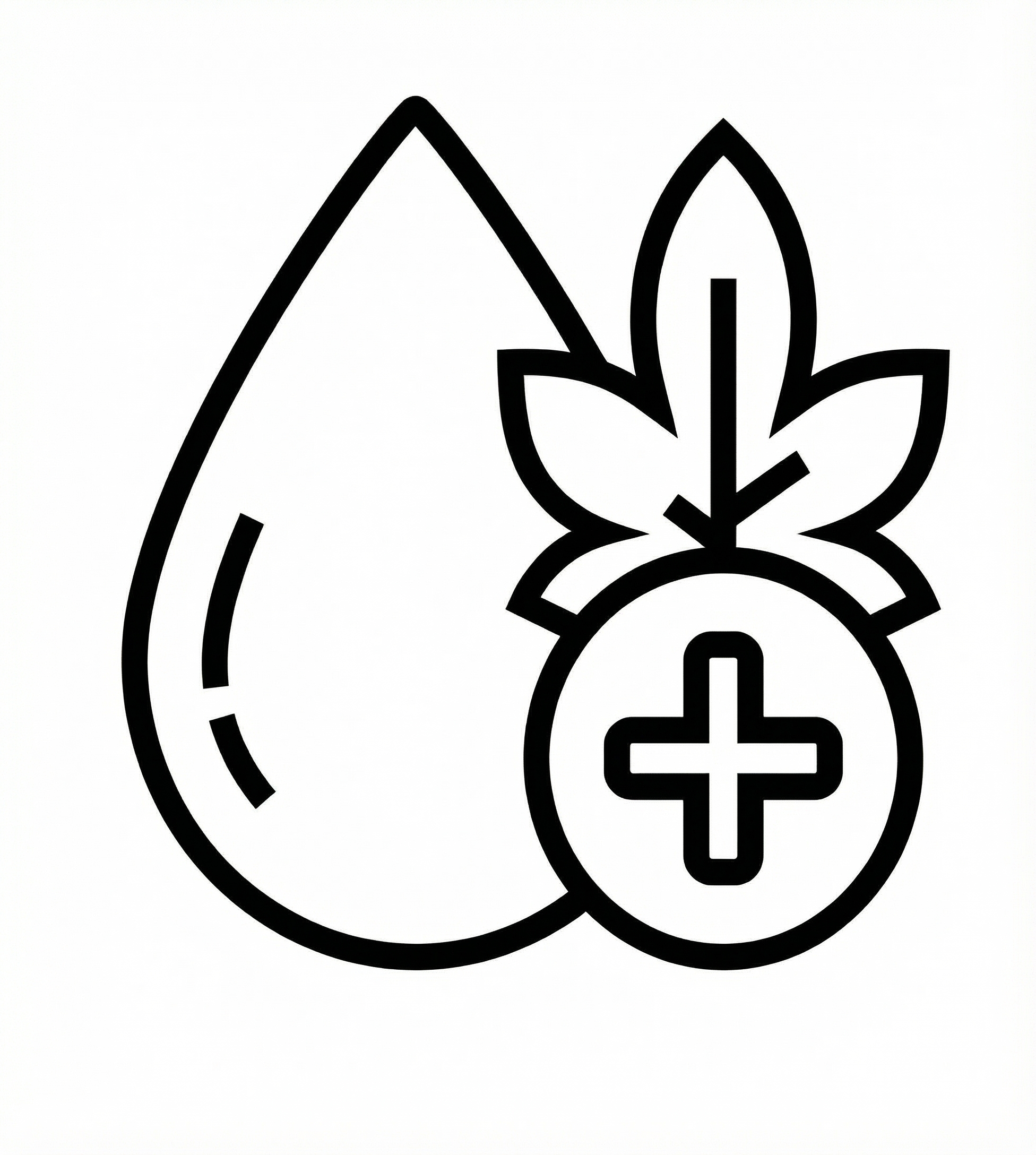 Sterilizace a konzervace