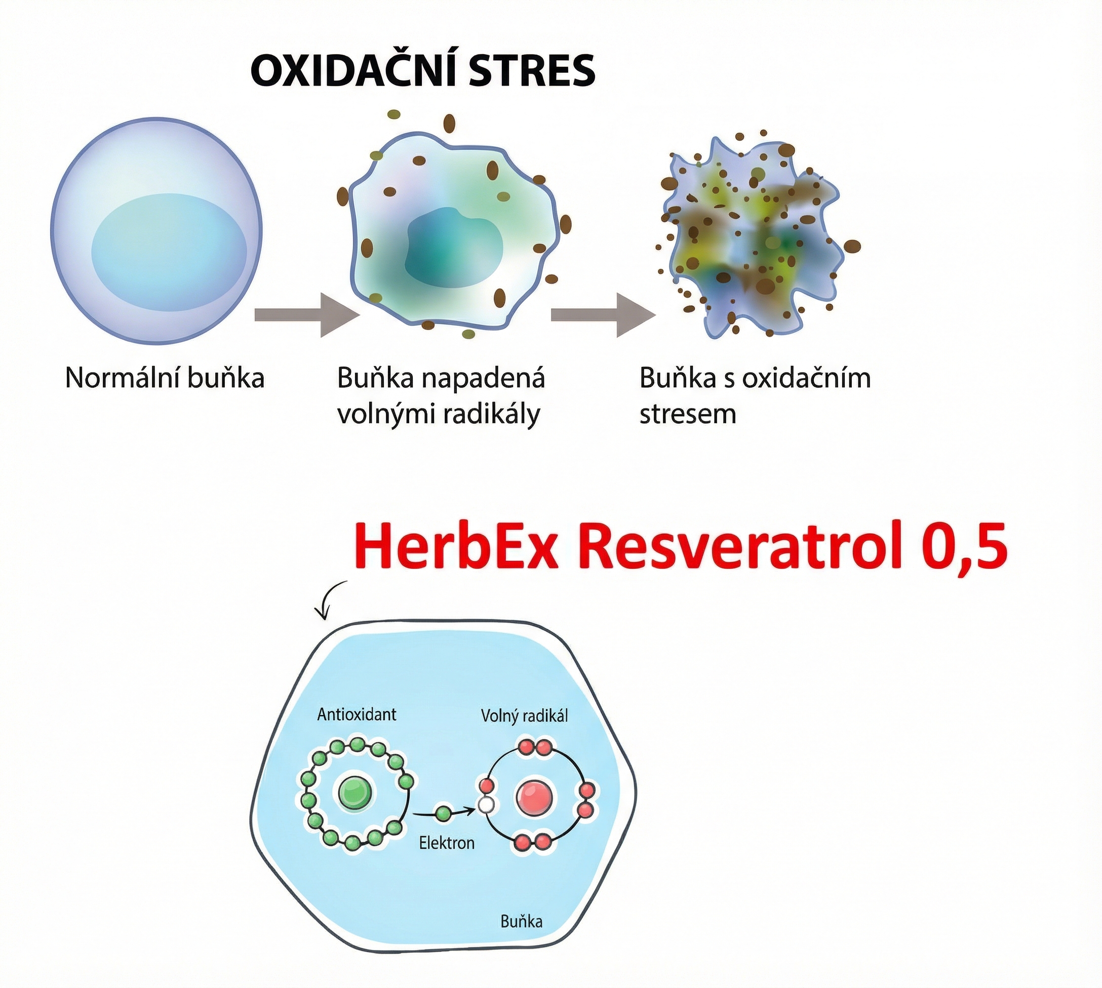 Diagram oxidativního stresu