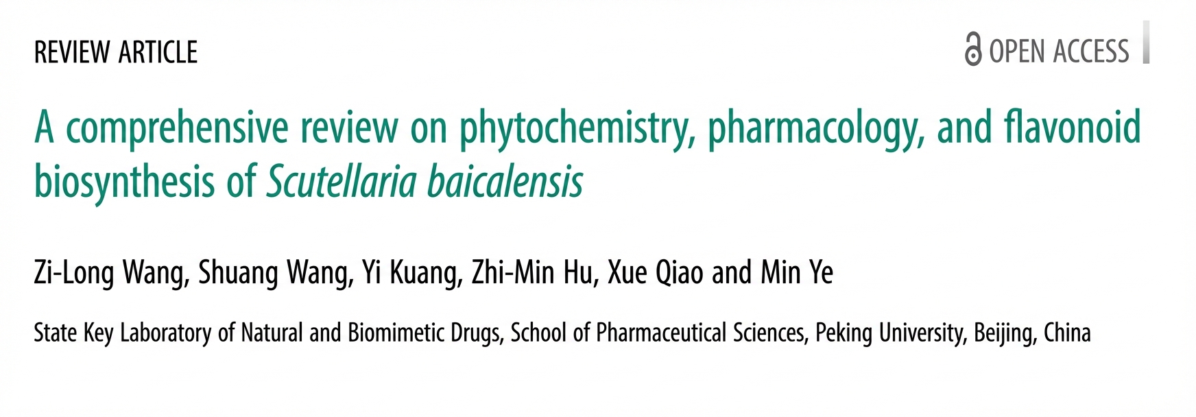 A comprehensive review on phytochemistry, pharmacology, and flavonoid biosynthesis of Scutellaria baicalensis
