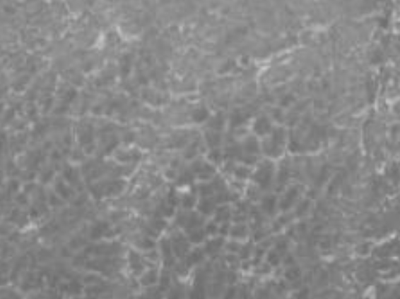 Po 3 dnech aplikace (Den 3)