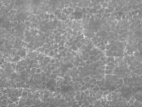 Bez aplikace 3 dny (Den 6)