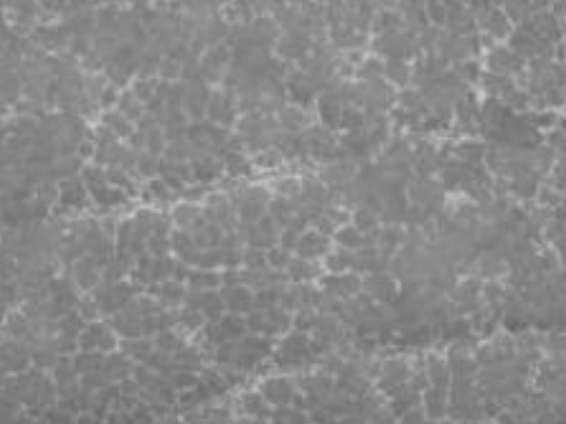 Před aplikací (Den 0)