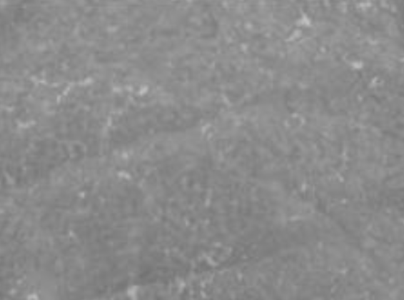 Po 3 dnech aplikace (Den 3)