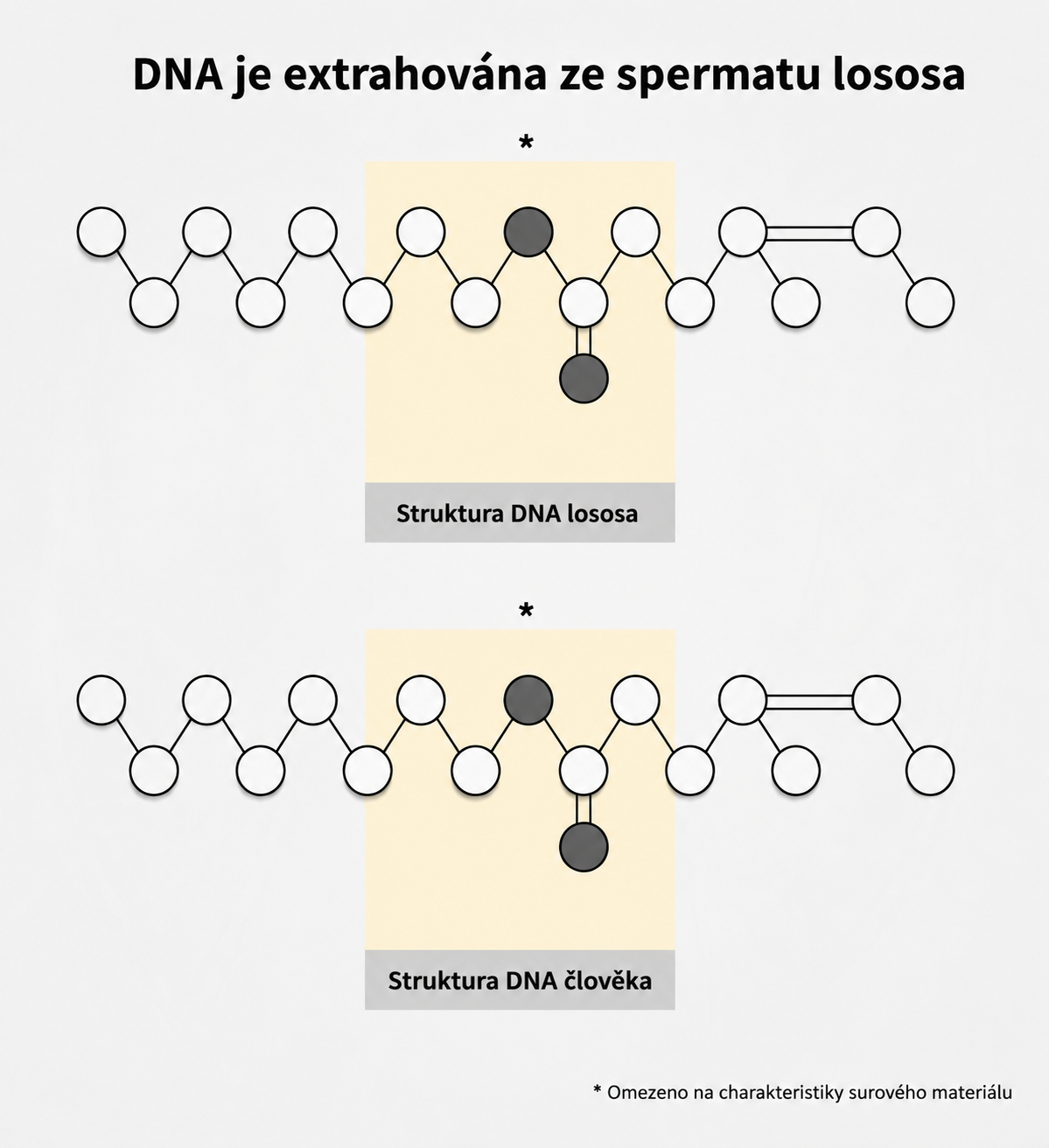 DNA je extrahována ze spermatu lososa – struktury DNA lososa a člověka