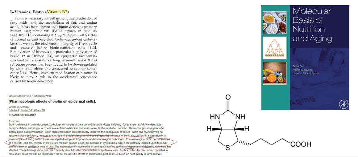 Pharmacologic effects of biotin paper + kniha Molecular Basis of Nutrition and Aging + chemická struktura biotinu