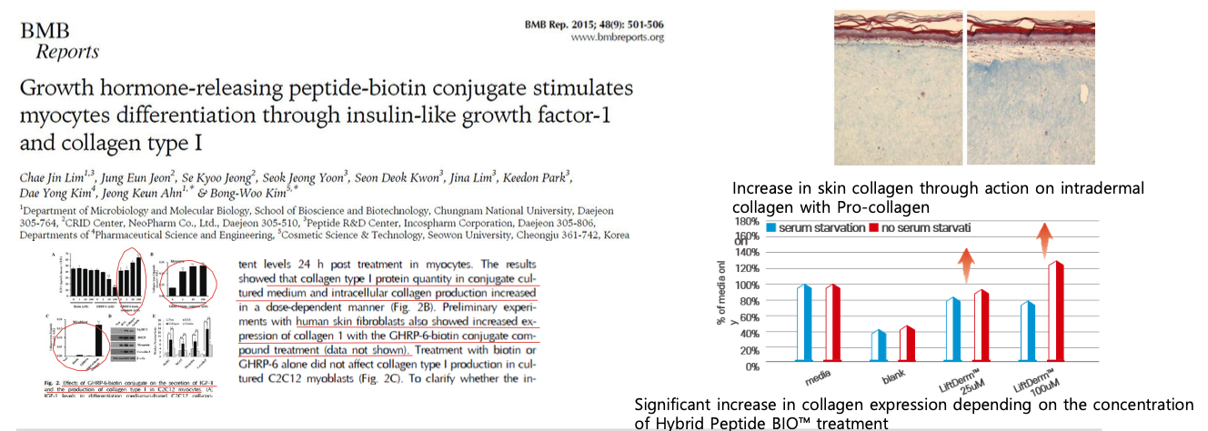 BMB Reports paper + graf nárůstu kolagenu + sloupcový graf koncentrace Hybrid Peptide BIO