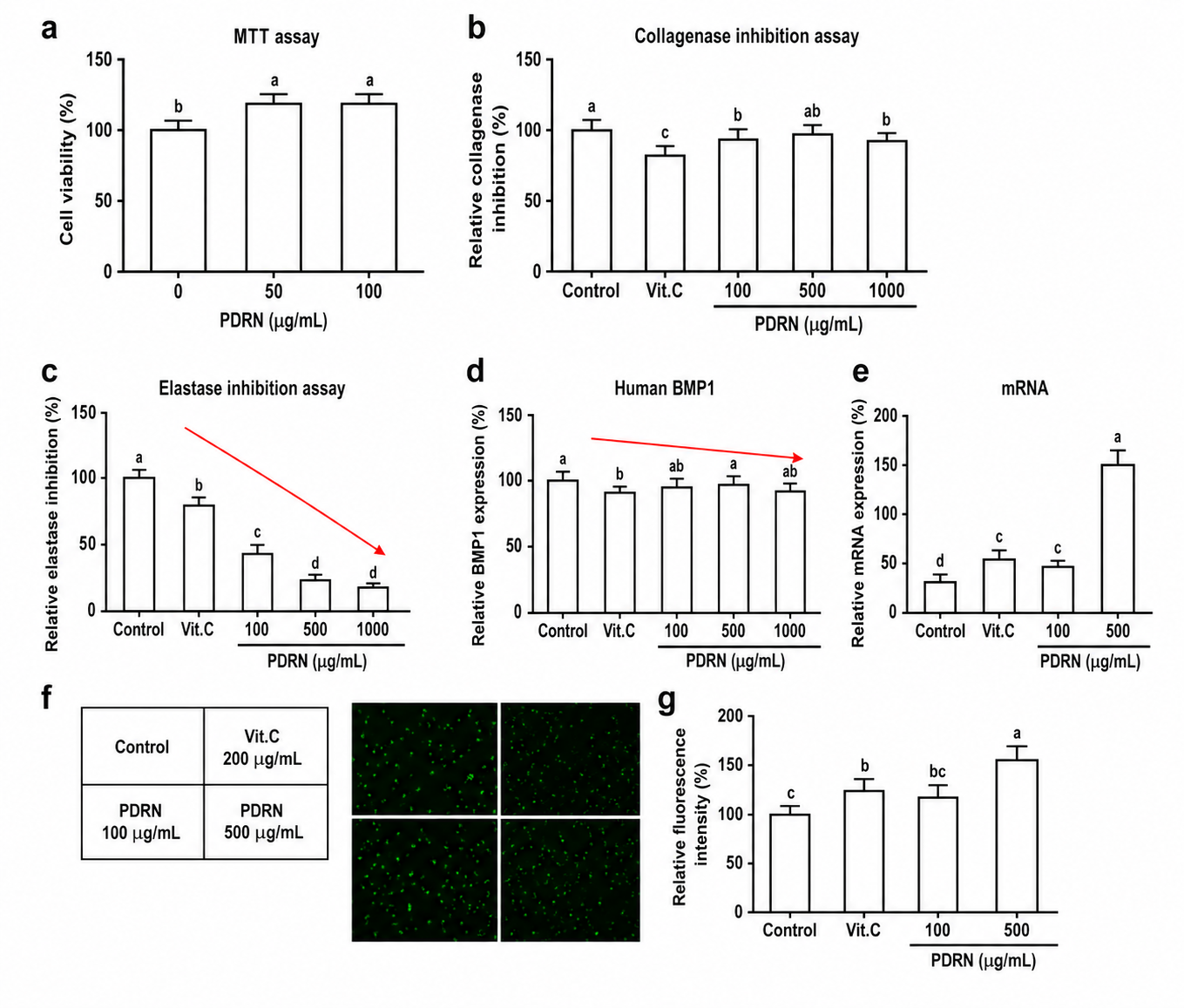 Grafy MTT assay, Collagenase inhibition assay, Elastase inhibition assay, Human MMP-1, eNOS
