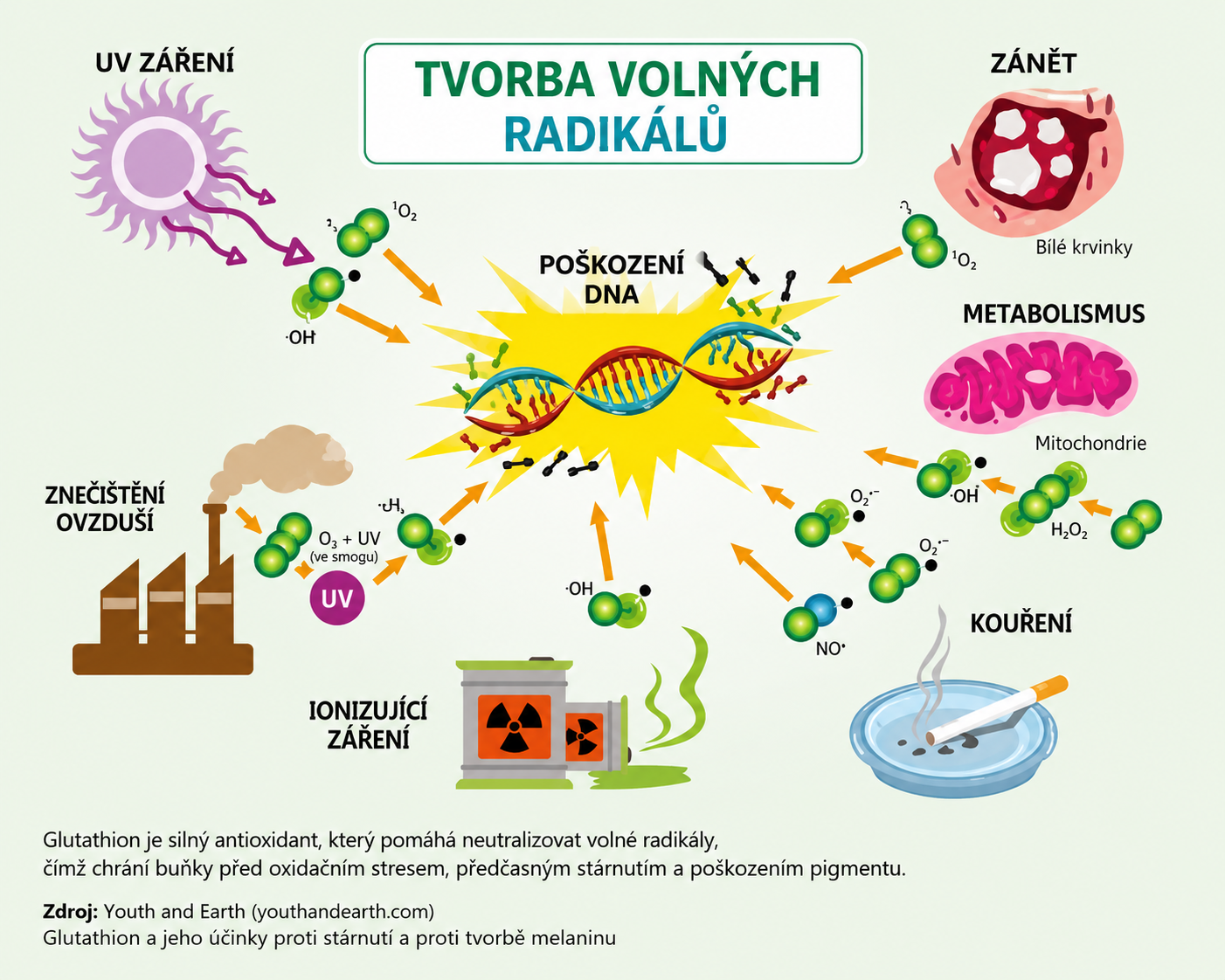 Formation of Free Radicals – infografika příčin (UV, znečištění, kouření...)