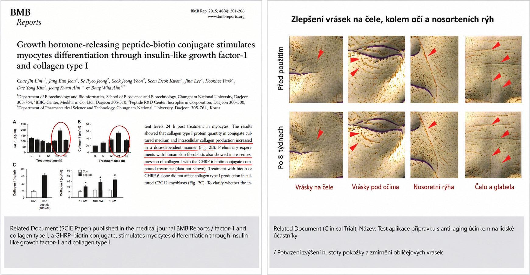 BMB Reports paper + klinická studie vrásek (s českými popisky)